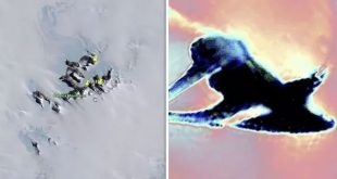 Vật thể kỳ lạ lộ ra sau lớp băng tan ở Nam Cực